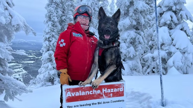 Avalanche Search and Rescue Team