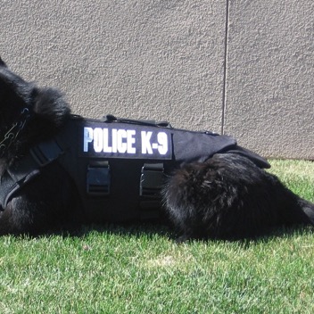 Police K9