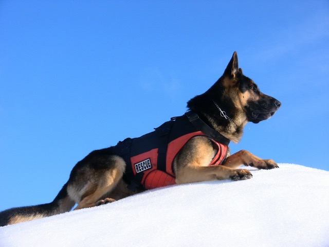 Search and Rescue for 2010 Winter Olympics Whistler, BC, Canada