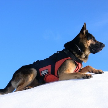 Search and Rescue for 2010 Winter Olympics Whistler, BC, Canada