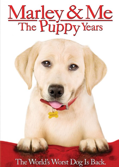 Marley and Me The Puppy Years | Film